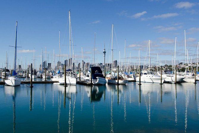 Half-day Discover Auckland City Sightseeing Tour - Ponsonby and the city’s older neighborhoods