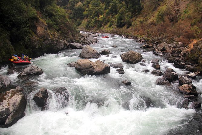 Half Day, Grade 5, White Water Rafting on the Rangitikei River - Who should book this rafting trip