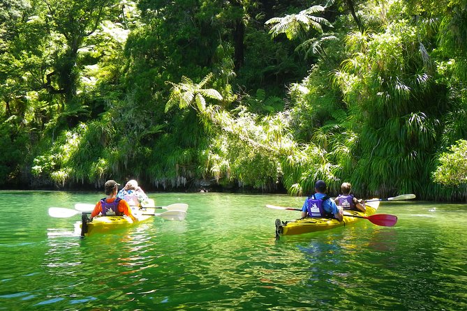 Half-Day Guided Sea Kayak Trip from Picton - Paddling out from Picton’s waterfront