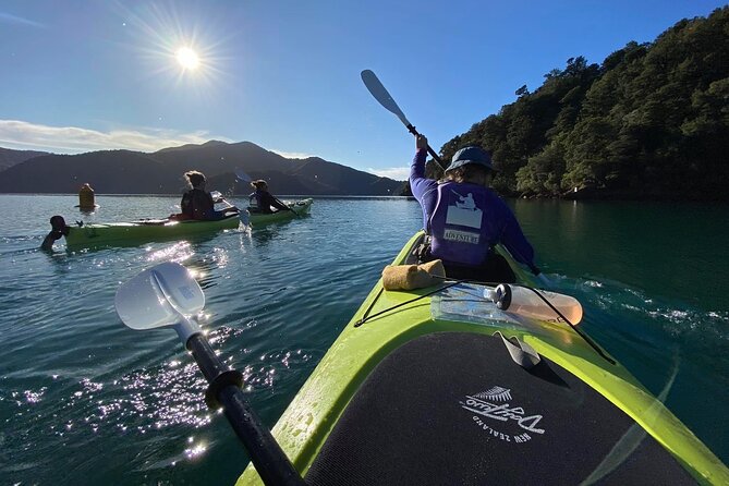 Half-Day Guided Sea Kayak Trip from Picton - How demanding is four hours in a sea kayak?