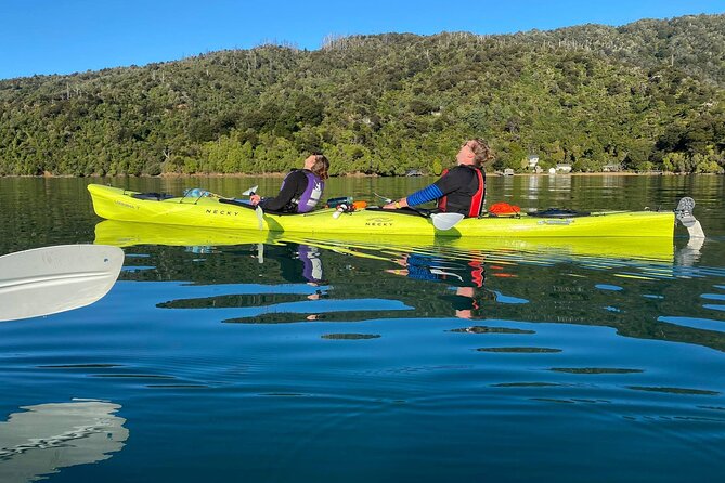 Half-Day Guided Sea Kayak Trip from Picton - Morning or afternoon: choosing the better departure