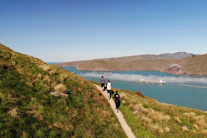 Half Day Guided Walking Tour on Banks Peninsula - The minivan ride from central Christchurch