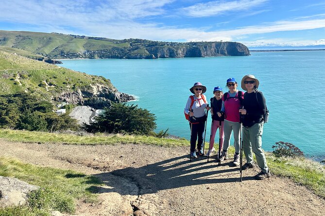 Half Day Guided Walking Tour on Banks Peninsula - The guiding makes the short format work
