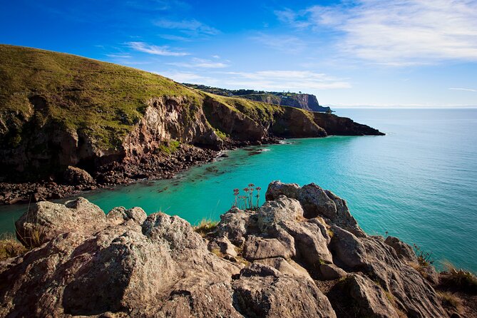 Half Day Guided Walking Tour on Banks Peninsula - Practical details to handle before you go