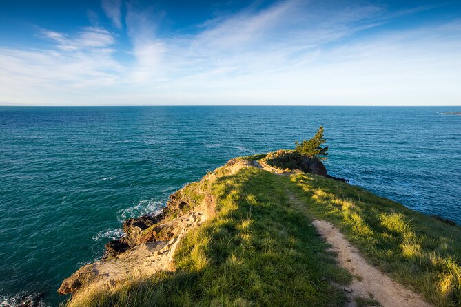 Half Day Luxury Private Guided Crater Rim Walk - Leaving Christchurch for Banks Peninsula