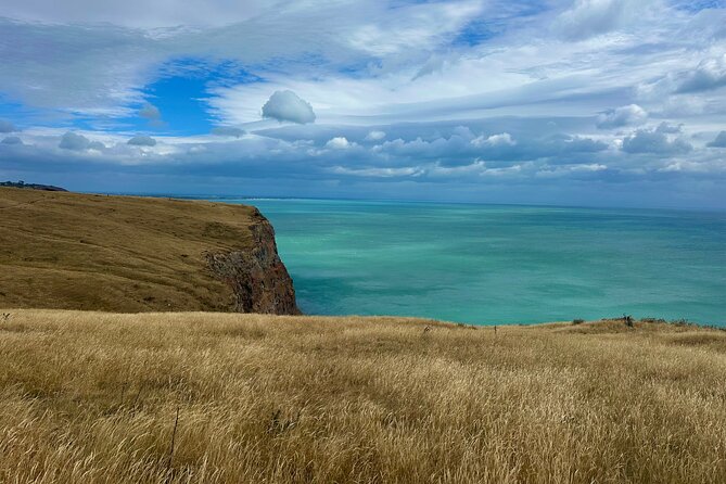 Half Day Luxury Private Guided Crater Rim Walk - A private walk that adjusts to you