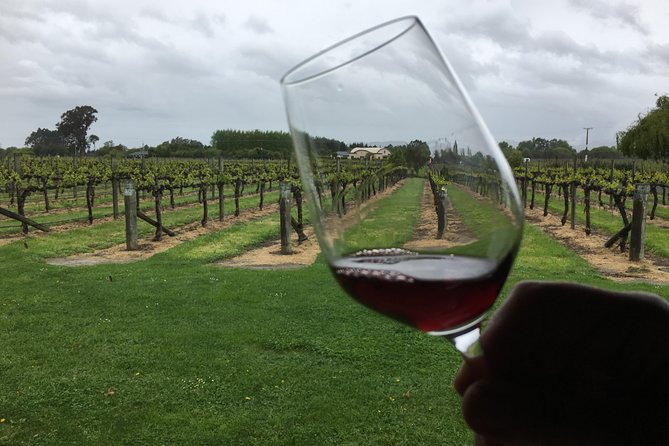 Half-Day Marlborough Wine Tour & Beer Tour - Saint Clair Family Estate Vineyard Kitchen: lunch with a view