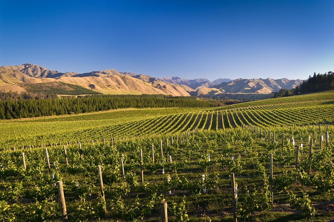 Half-Day Marlborough Wine Tour & Beer Tour - Wine tastings, beer, and chocolate