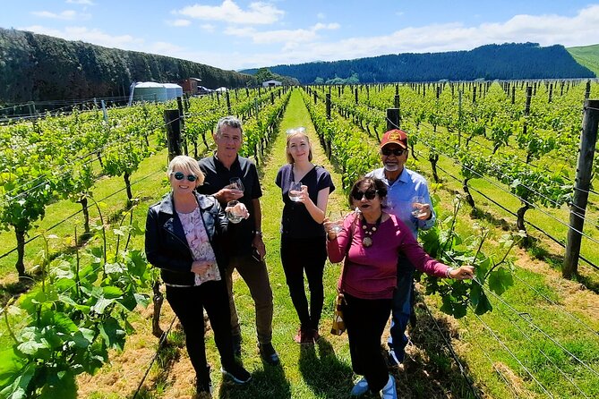 Half Day Martinborough Winery Tour from Wellington - Lunch at a vineyard, with the bill paid separately
