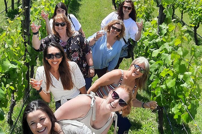 Half Day Martinborough Winery Tour from Wellington - C’est Cheese, a useful but optional 15-minute pause