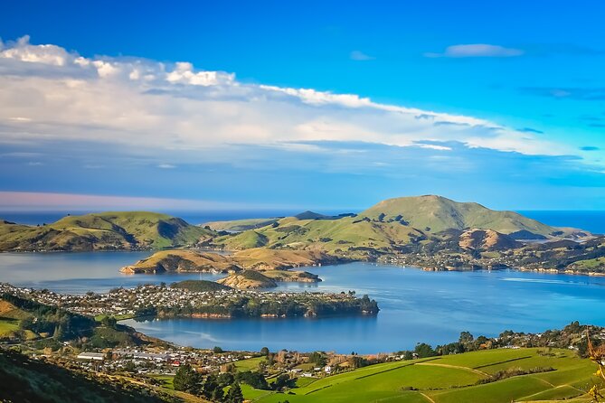 Half-Day Private City, Sights & Wildlife Tours - The Octagon and the stories behind central Dunedin