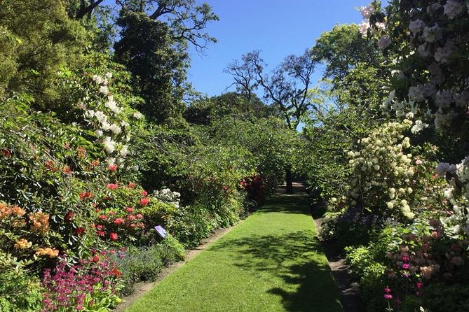 Half day Private Tour of Dunedin City Highlights and Peninsula Scenery - Baldwin Street starts with a quick thrill