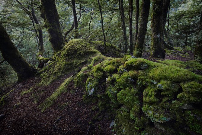Half Day Queenstown & Beyond Private Scenic Photography Tour - Skippers Canyon and the high country north of town