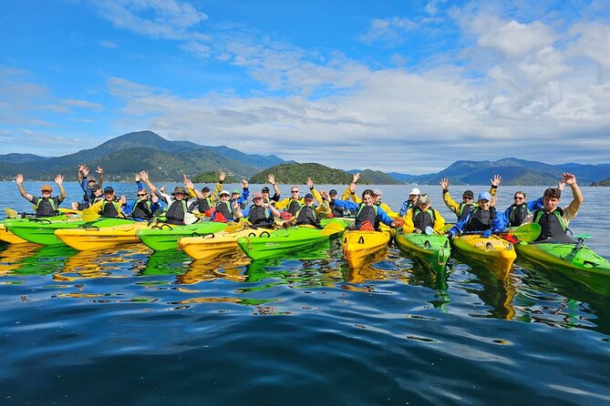 Half day Sea Kayak Guided Tour from Picton - Wildlife sightings from a low seat on the water