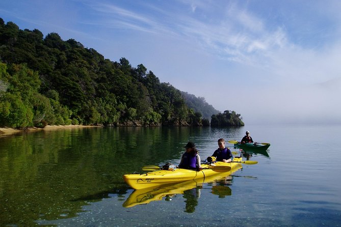 Half day Sea Kayak Guided Tour from Picton - The physical side: steady effort, not a race