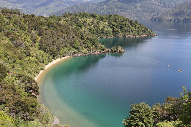 Half day Sea Kayak Guided Tour from Picton - What the guides add to the four-hour route