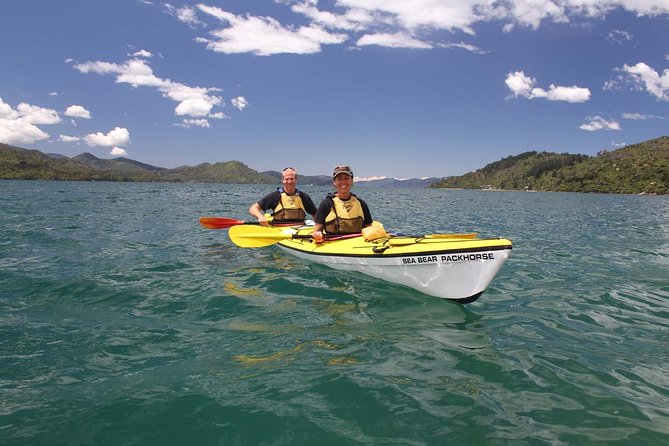 Half day Sea Kayak Guided Tour from Picton - Is $74.47 good value for four hours?