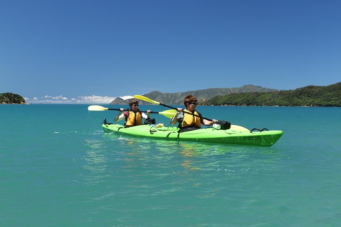 Half day Sea Kayak Guided Tour from Picton - What makes the western sound worth seeing by kayak