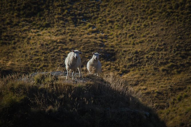 Half Day Skippers Canyon Queenstown Private Photography Adventure - Photographing Gorilla Rock and the mountain views
