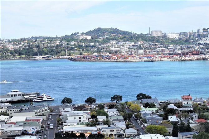 Half-Day: Small Group Auckland Scenic Tour - 4 HOURS - Remuera, Parnell, and the city’s polished side