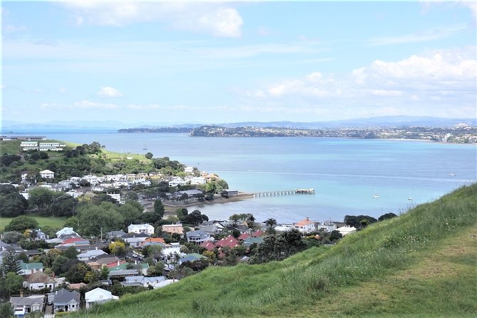 Half-Day: Small Group Auckland Scenic Tour - 4 HOURS - What the local guides add
