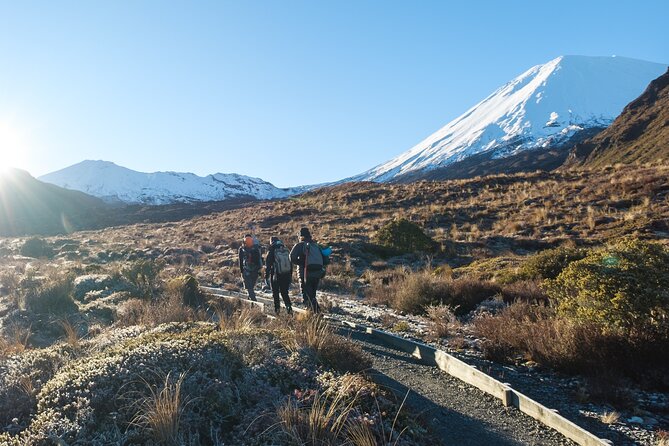 Half Day Tongariro Alpine Guided Group Walk - Soda Springs and its small oasis