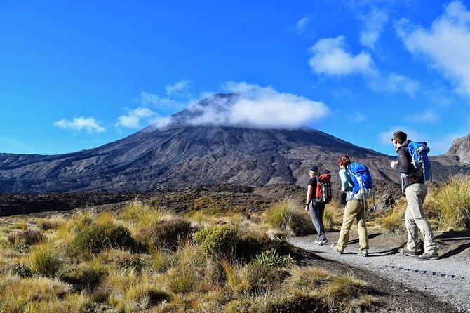Half Day Tongariro Alpine Guided Group Walk - Price, group size, and practical value