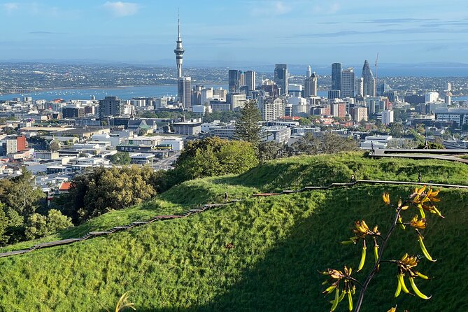 Half-Day Tour: AUCKLAND CITY Highlights with Hotel Pickup - A fast first look at Auckland from the road