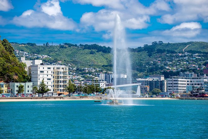 Half Day Tour of Wellington - Key points to know before you book