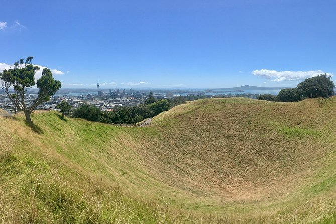 Half-Day Volcano Tour from Auckland - Key points before you book