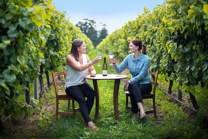 Half-Day Wine Tour from Picton - Key points to know before you book