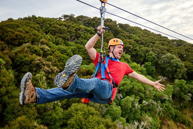 Half Day Zipline Adventure in Kaikoura - Short walks add more than a pause between lines