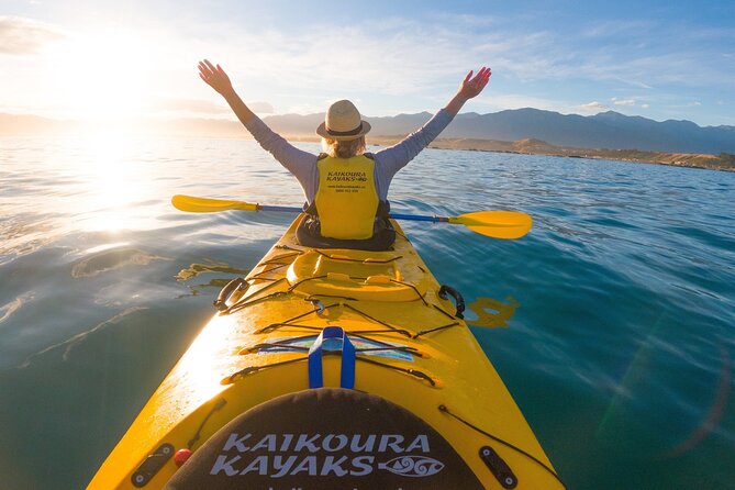 Half Day Zipline Adventure in Kaikoura - Booking details worth knowing