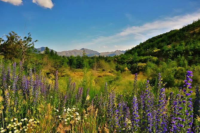 Hanmer Springs Pool Day Tour From Christchurch - Waipara and Pegasus Bay Winery and Deli