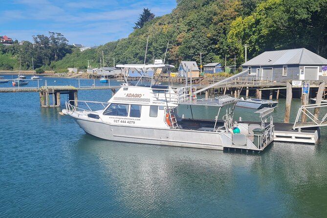 Harbour, Albatross and Wildlife Cruise on Otago Harbour - What the boat ride feels like