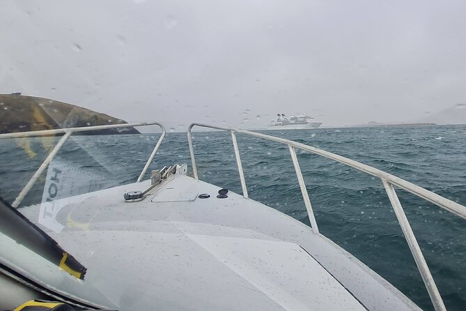 Harbour, Albatross and Wildlife Cruise on Otago Harbour - Is $80.67 a fair price?