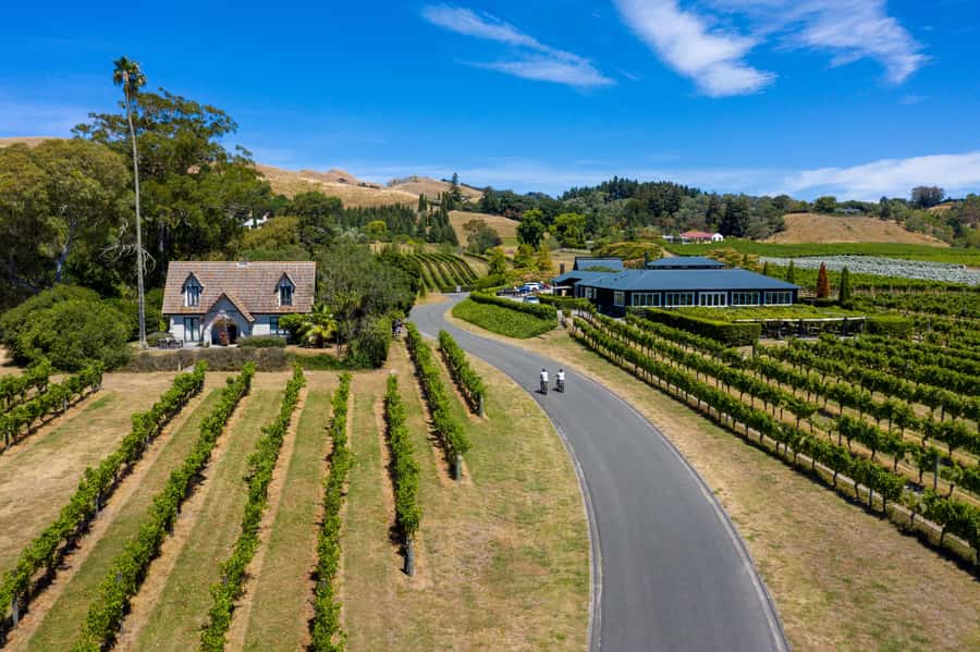 Hawke's Bay: Self Guided Coast to Vineyards Cycle Tour - Starting at 117 Marine Parade in Napier