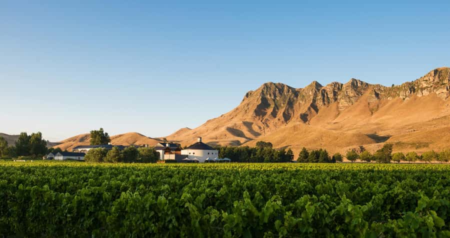 Hawke's Bay: Self Guided Coast to Vineyards Cycle Tour - Following the Tukituki River valley