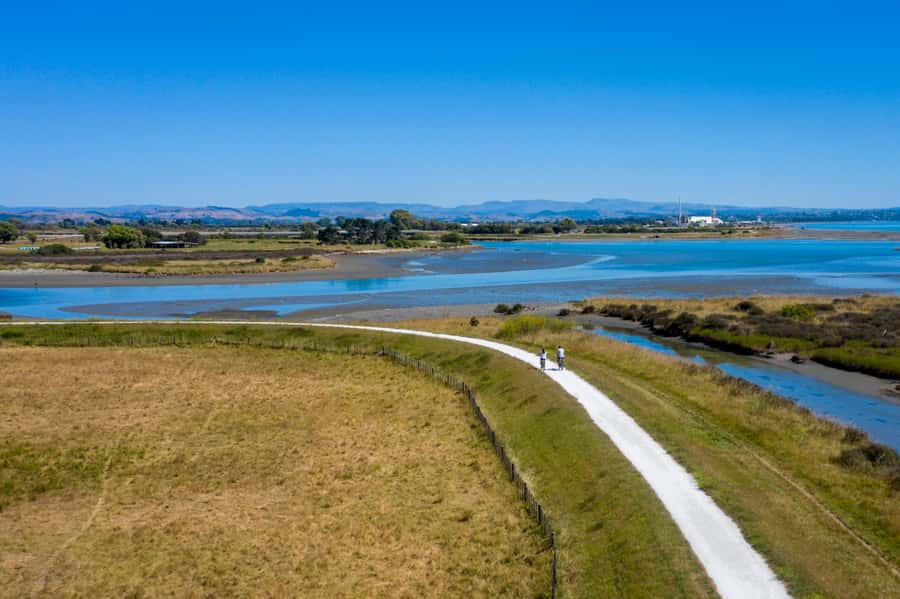 Hawke's Bay: Self Guided Coast to Vineyards Cycle Tour - Who will enjoy this ride most