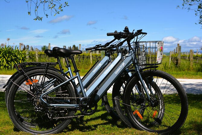 Hawkes Bay Wineries Self-Guided Electric Bike Tour - Who will enjoy this six-hour wine ride