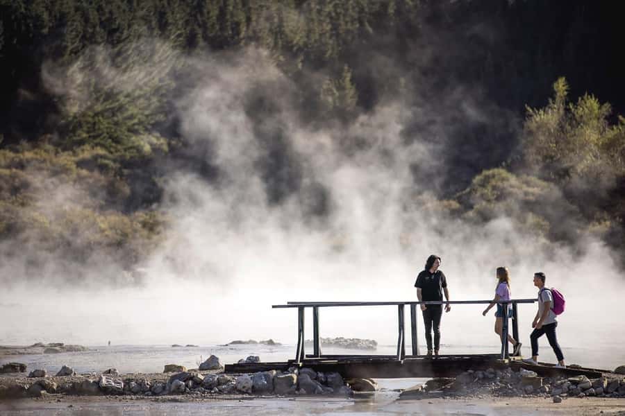 HELL'S GATE Mud Spa, Rotorua - Group Day Tour Ex Auckland - Lunch and the 1:30 PM Shuttle