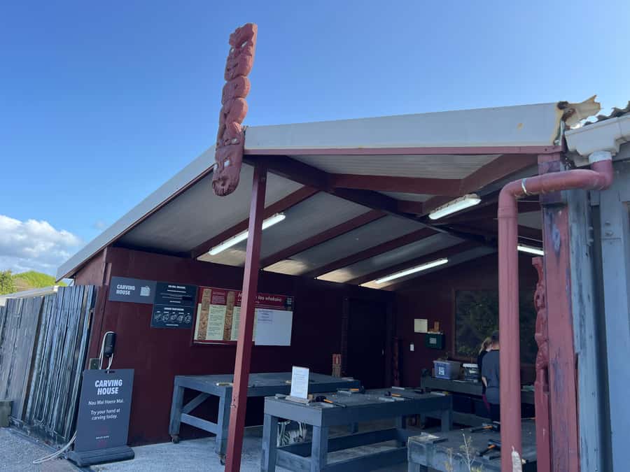 HELL'S GATE Mud Spa, Rotorua - Group Day Tour Ex Auckland - Rotorua Driving Highlights and the Return Journey