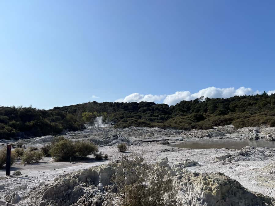 HELL'S GATE Mud Spa, Rotorua - Group Day Tour Ex Auckland - Is $298 a Fair Price?