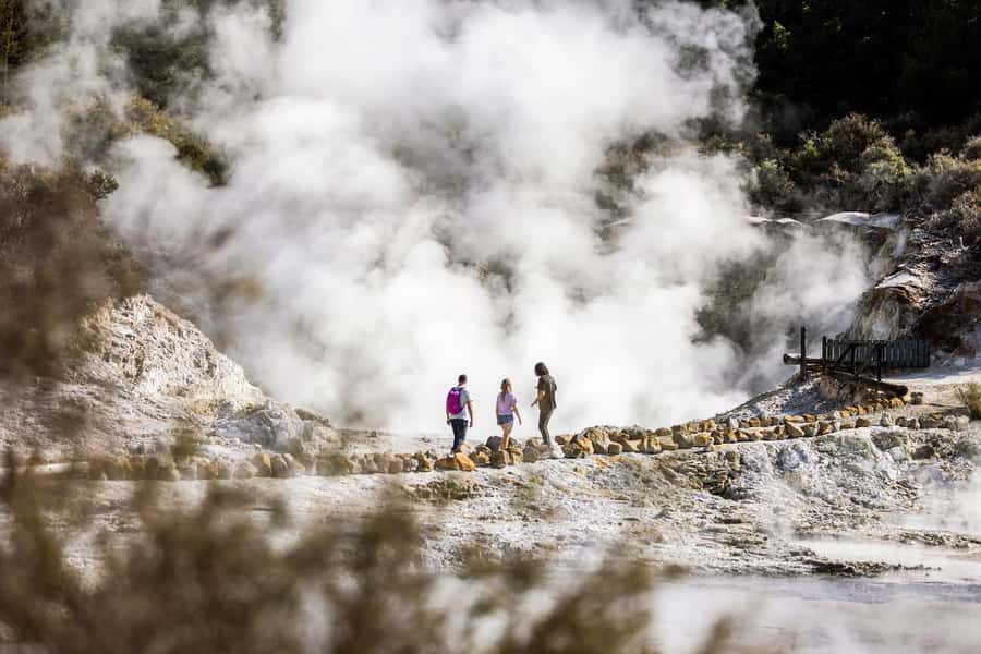 HELL'S GATE Mud Spa, Rotorua - Group Day Tour Ex Auckland - Practical Details Before You Book