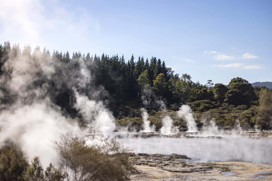 HELL'S GATE Mud Spa, Rotorua - Group Day Tour Ex Auckland - Tirau: A Short Break with Plenty of Character