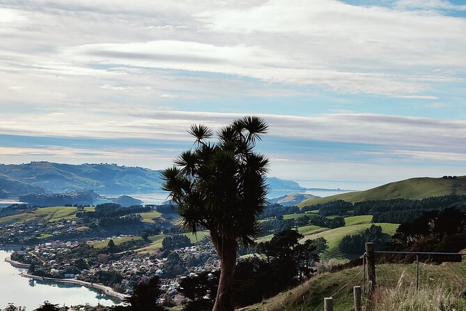 Heritage City and Larnach Castle Van tour with Historian Guide - Queens Gardens and High Street reveal two sides of Dunedin