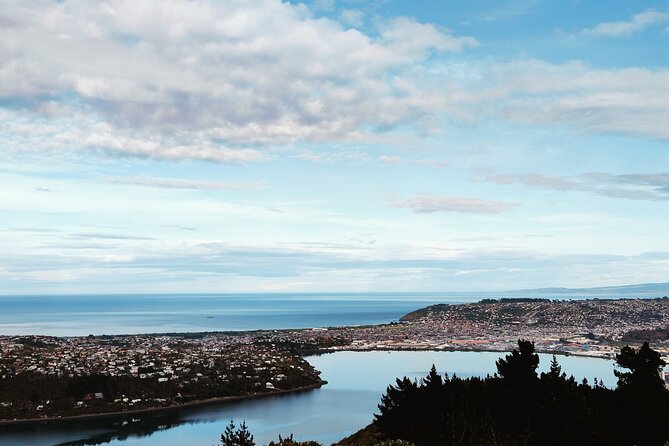 Heritage City and Larnach Castle Van tour with Historian Guide - Larnach Castle ties the whole day together