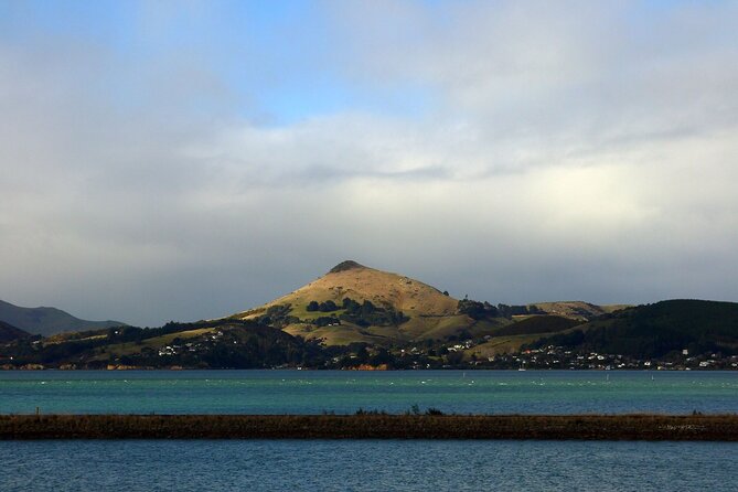 Heritage City and Larnach Castle Van tour with Historian Guide - A small van changes the feel of the day