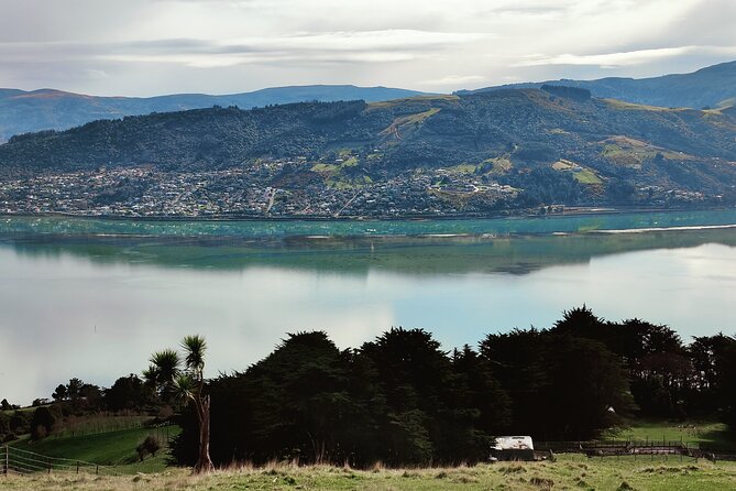 Heritage City and Larnach Castle Van tour with Historian Guide - What the $139.78 price buys you