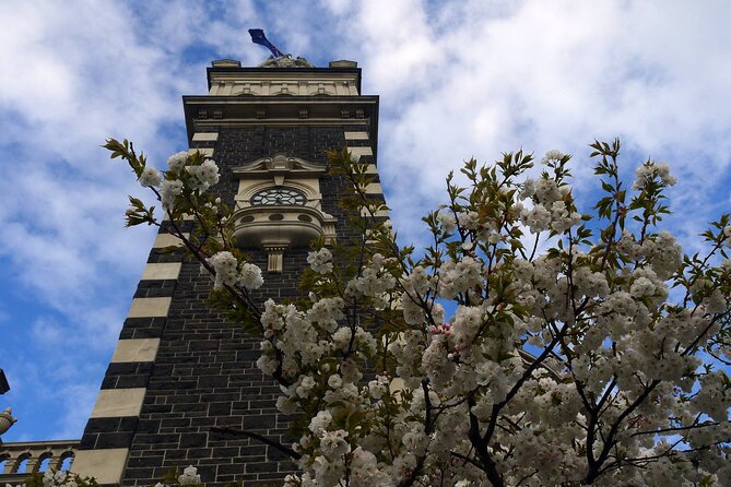 Heritage Dunedin City Walking Guided Tour - Princes Street and the Exchange buildings